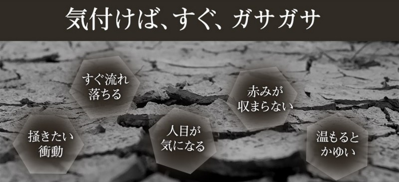 �n�C�h���o�u���o�X���T�C�g